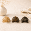 Natural Maha Dhan Yog Tortoise Combo for wealth attraction, prosperity and financial stability energy