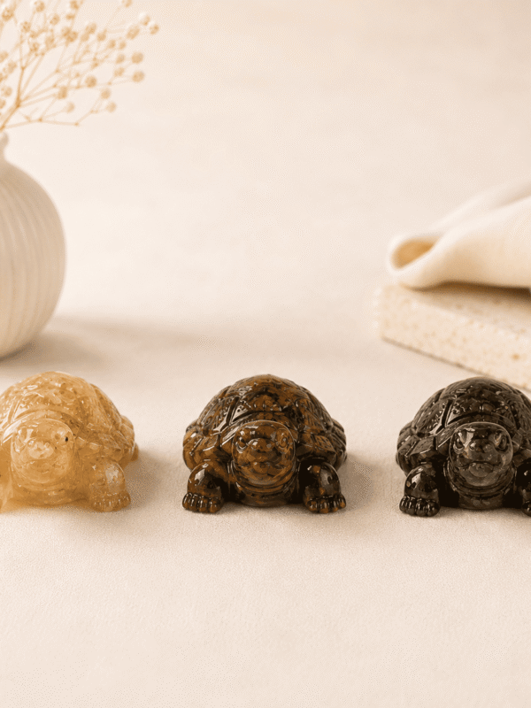 Natural Maha Dhan Yog Tortoise Combo for wealth attraction, prosperity and financial stability energy