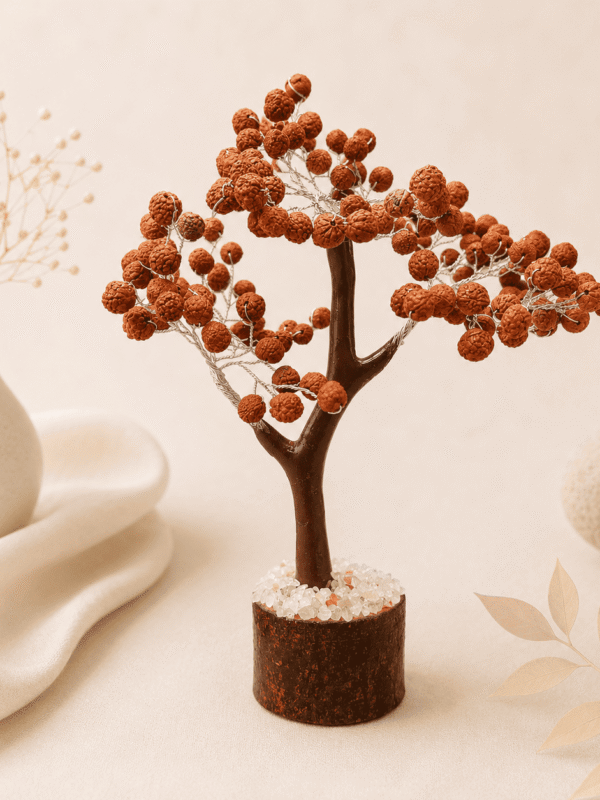 Natural Five Mukhi Indonesian Rudraksha Tree for peace, meditation, stress relief and spiritual growth energy