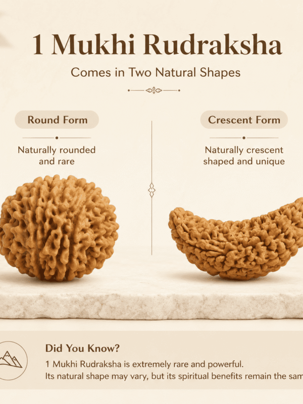 Original Nepal Origin 1 Mukhi Rudraksha bead for spiritual growth, meditation, wealth attraction, divine blessings, chakra healing, and positive energy protection