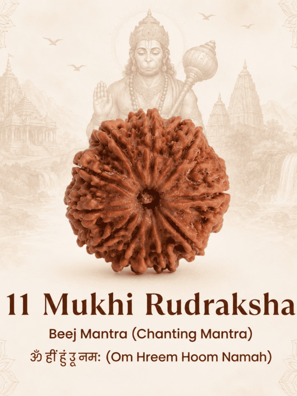 Original Nepal Origin 11 Mukhi Rudraksha bead for courage, wisdom, protection, spiritual growth, confidence, and positive energy healing