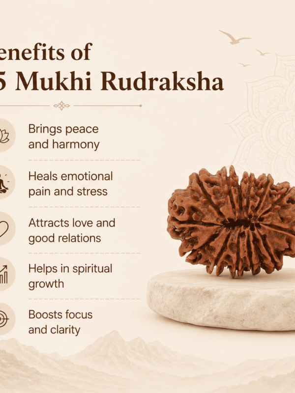 Original Nepal Origin 15 Mukhi Rudraksha bead for emotional healing, inner peace, spiritual growth, love, confidence, and positive energy protection