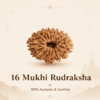 Original Nepal Origin 16 Mukhi Rudraksha bead for protection, fearlessness, spiritual growth, success, confidence, and positive energy healing