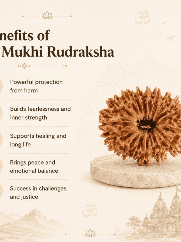 Original Nepal Origin 16 Mukhi Rudraksha bead for protection, fearlessness, spiritual growth, success, confidence, and positive energy healing