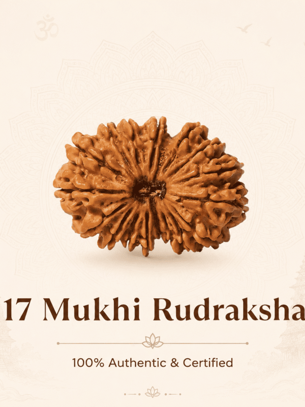 Original Nepal Origin 17 Mukhi Rudraksha bead for prosperity, success, protection, spiritual growth, confidence, and positive energy healing