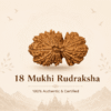 Original Nepal Origin 18 Mukhi Rudraksha bead for prosperity, stability, protection, spiritual growth, confidence, and positive energy healing