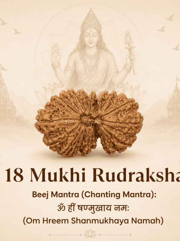 Original Nepal Origin 18 Mukhi Rudraksha bead for prosperity, stability, protection, spiritual growth, confidence, and positive energy healing