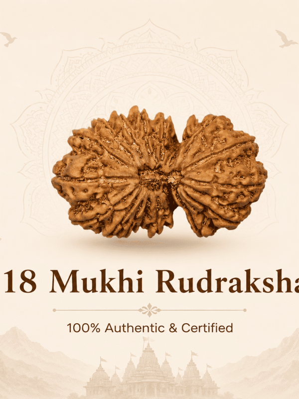 Original Nepal Origin 18 Mukhi Rudraksha bead for prosperity, stability, protection, spiritual growth, confidence, and positive energy healing