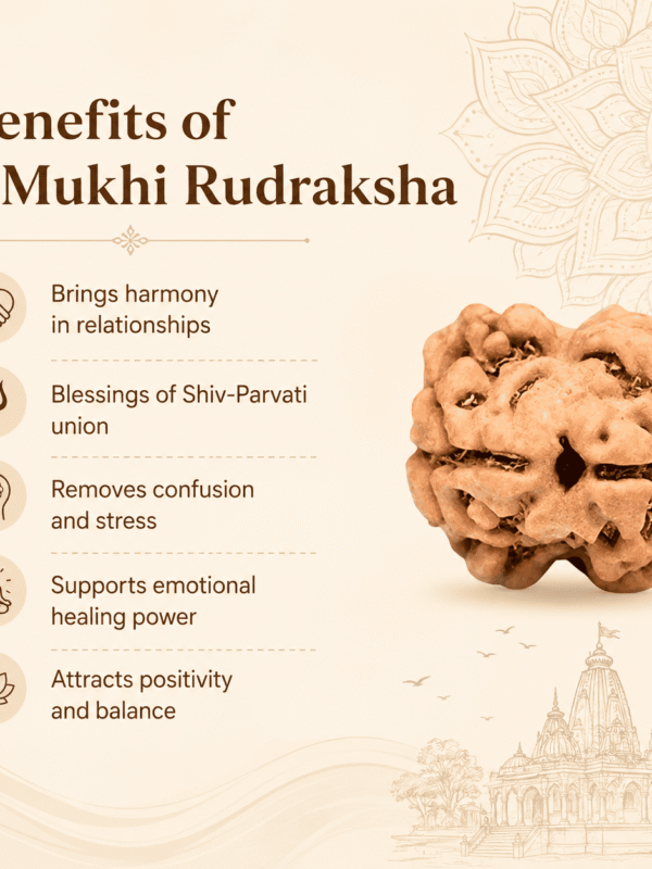 Original Nepal Origin 2 Mukhi Rudraksha bead for love, relationship harmony, emotional healing, spiritual growth, divine blessings, and positive energy