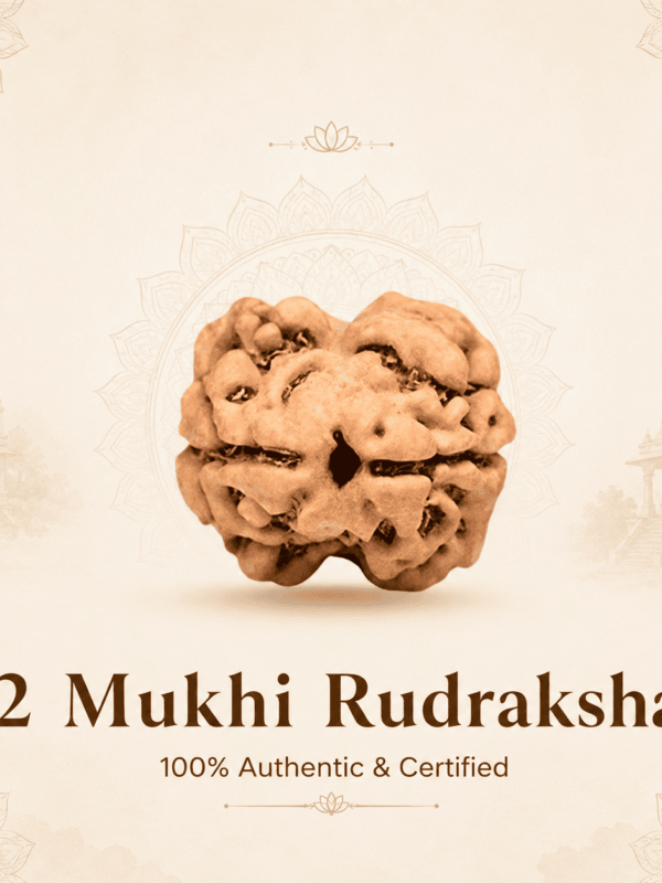 Original Nepal Origin 2 Mukhi Rudraksha bead for love, relationship harmony, emotional healing, spiritual growth, divine blessings, and positive energy