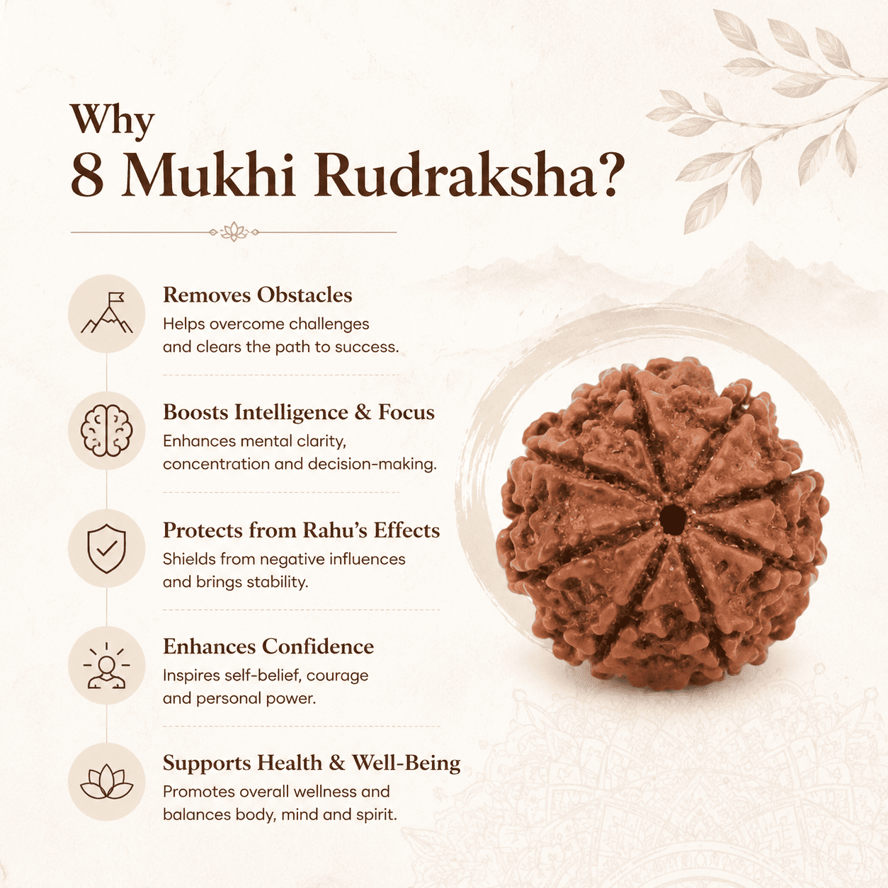 Nepal Origin 8 Mukhi Rudraksha - Image 3