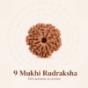 Original Nepal Origin 9 Mukhi Rudraksha bead for courage, protection, spiritual growth, confidence, divine blessings, and positive energy healing