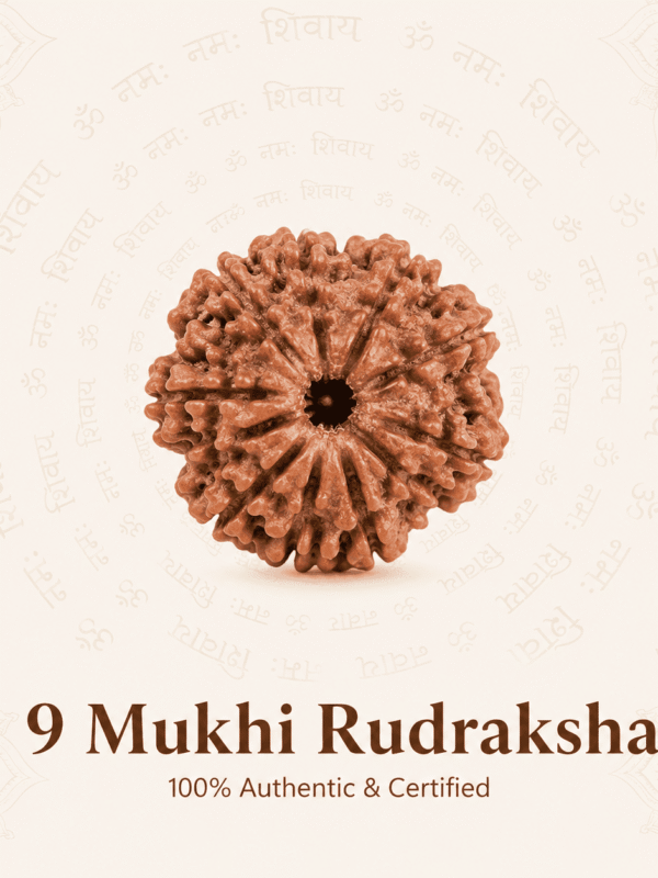 Original Nepal Origin 9 Mukhi Rudraksha bead for courage, protection, spiritual growth, confidence, divine blessings, and positive energy healing