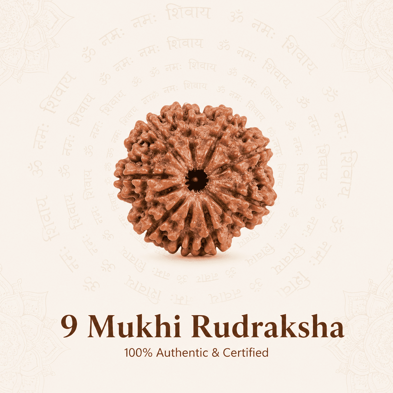 Original Nepal Origin 9 Mukhi Rudraksha bead for courage, protection, spiritual growth, confidence, divine blessings, and positive energy healing