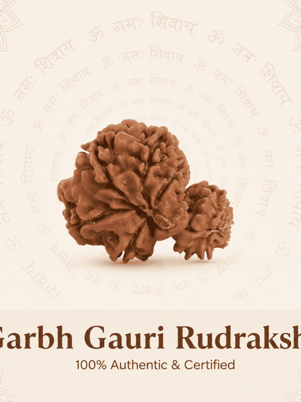 Nepal Origin Garbh Gauri Rudraksha