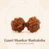 Original Nepal Origin Gauri Shankar Rudraksha bead for love, relationship harmony, spiritual growth, emotional healing, divine blessings, and positive energy