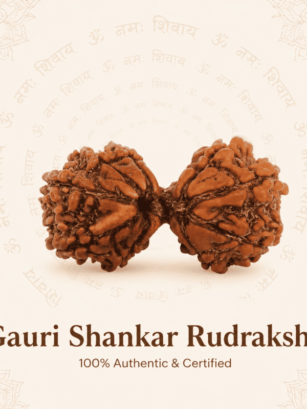 Original Nepal Origin Gauri Shankar Rudraksha bead for love, relationship harmony, spiritual growth, emotional healing, divine blessings, and positive energy