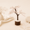 Natural Rose Quartz Gemstone Tree for love attraction, emotional healing and heart chakra energy