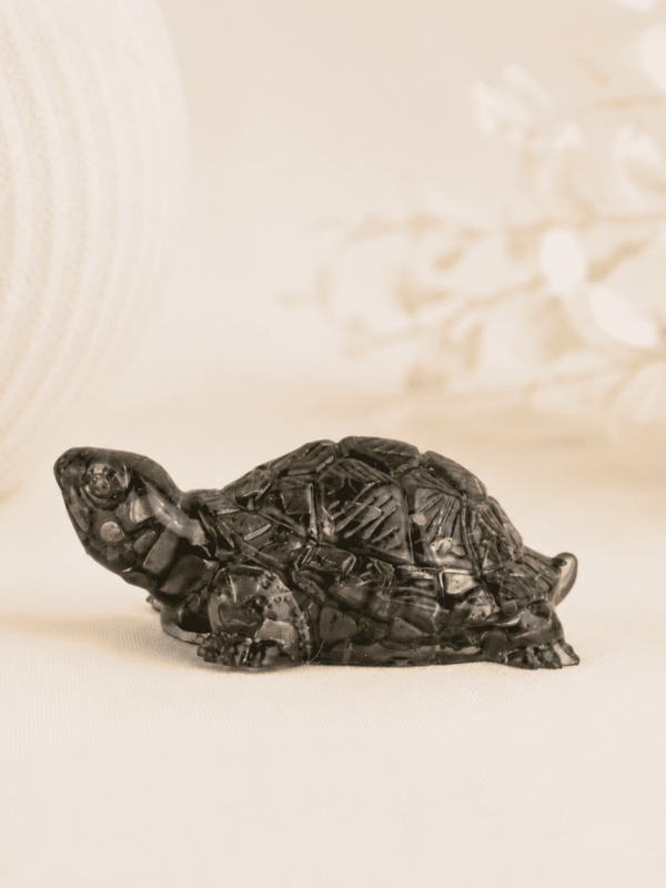 Vastu Pyrite Tortoise Kachhua crystal for wealth attraction, prosperity, protection, Feng Shui energy, financial success, and positive vibrations